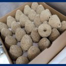 밝은빛한의원 이미지