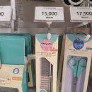 몰리스펫샵 풍산점 이미지