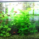 월평초등학교 이미지