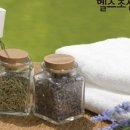 자연24