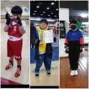 화랑복싱체육관 이미지