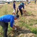 미양면사무소 이미지