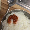 맛촌 - 담양군 무정로 538 | [태안] 새벽 5시부터 아침식사 가능한 한식 맛집이 있다? 맛촌 후기