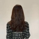 미립헤어 | 청담미용실 크리닉 미립헤어 후기.