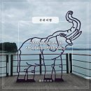 초록마을(경남 삼천포점) | 경남 남해 여행코스 추천 (1) 남일대해수욕장 남해독일마을