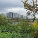 화서역 5번출구 이미지