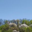 삼성초교 이미지