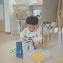 캉골현대 이미지