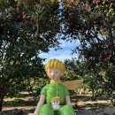 승관농장 이미지