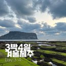 디앤디커피(D&D COFFEE) | 반짝이는 날 모두 그리움 | 겨울 제주 동쪽 | Day 3-4