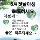 보광리 Daum카페