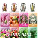 의료법인제중원 제남병원 | ☞경북의성조의화환☞ 제남병원장례식장꽃집
