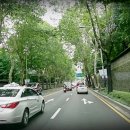 창경궁로 이미지