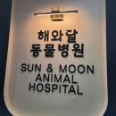 해와달동물병원 이미지