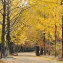 부석사가는길에 이미지