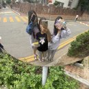 앞날창창