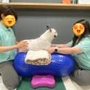 사과나무한방병원 이미지