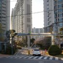 송림도화 이미지