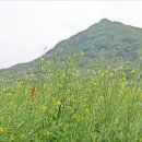 섬진강대숲길 이미지