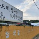 이정은 보리밥