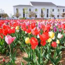 안중농업협동조합오성지점 이미지