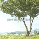 함박골마을 이미지