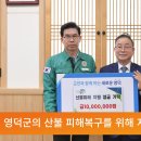 서울에서 해남까지, 영덕 산불 피해복구에 기부 행렬 이미지