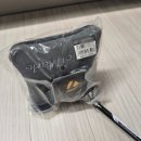 테일러메이드 퍼터 스파이더 투어 X #1 L넥 사용 후기
