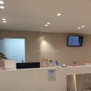 반여착한동물병원 | 반포동물병원 반포베이스동물의료센터 4살 강아지건강검진 후기