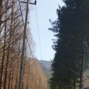 일동5일장 이미지