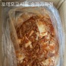 로데오고시원송파