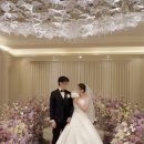 보울 | W. 아이폰스냅 소프트보울 본식 후기