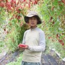 개금농장 이미지