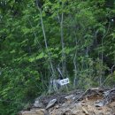 정선군 도사곡샘터 이미지