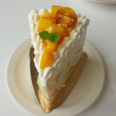 스테이어스(STAYUS) 이미지