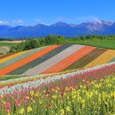 비에이(B/A) 이미지