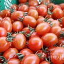 희순농장 이미지