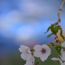 세명자원 이미지