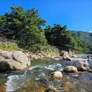 지리산녹차별펜션 이미지
