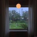 삼일삼오 이미지