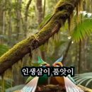 품앗이