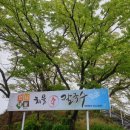 언니네손칼국수