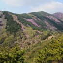 4월 9일 토요당일 - 200대 명산 천주산 천주봉 진달래 축제 산행 안내 - 신청하기 이미지