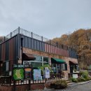 중부대로10L | 23-11) 젤코바캠핑장 / 경기 용인 / 키즈 캠핑장 / 서울근교캠핑장 / 추천 캠핑장 / 장단점