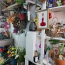 꽃가지화원 이미지