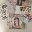 F47 | 2025 서일페 V.19 라인업 및 관람 후기