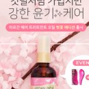 엘헤어 네이버블로그