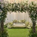 다르미앙 이미지