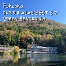 1561 | 유후인 맛집 내돈내산 BEST3 및 긴린코 호수 플로랄빌리지 방문 후기