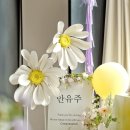 더제이미